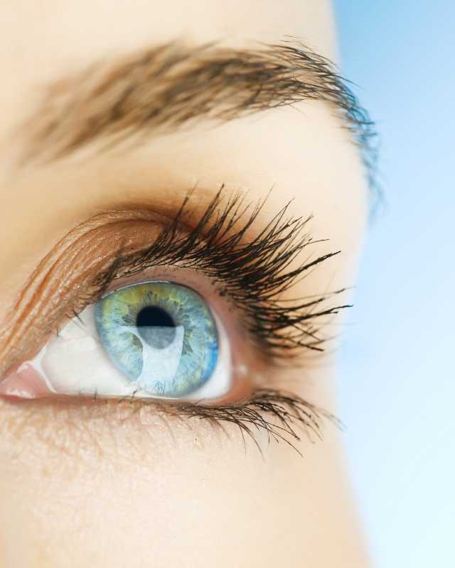 Oculoplastica